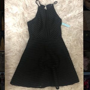 Nwt She + Sky Fit and Flare dress
